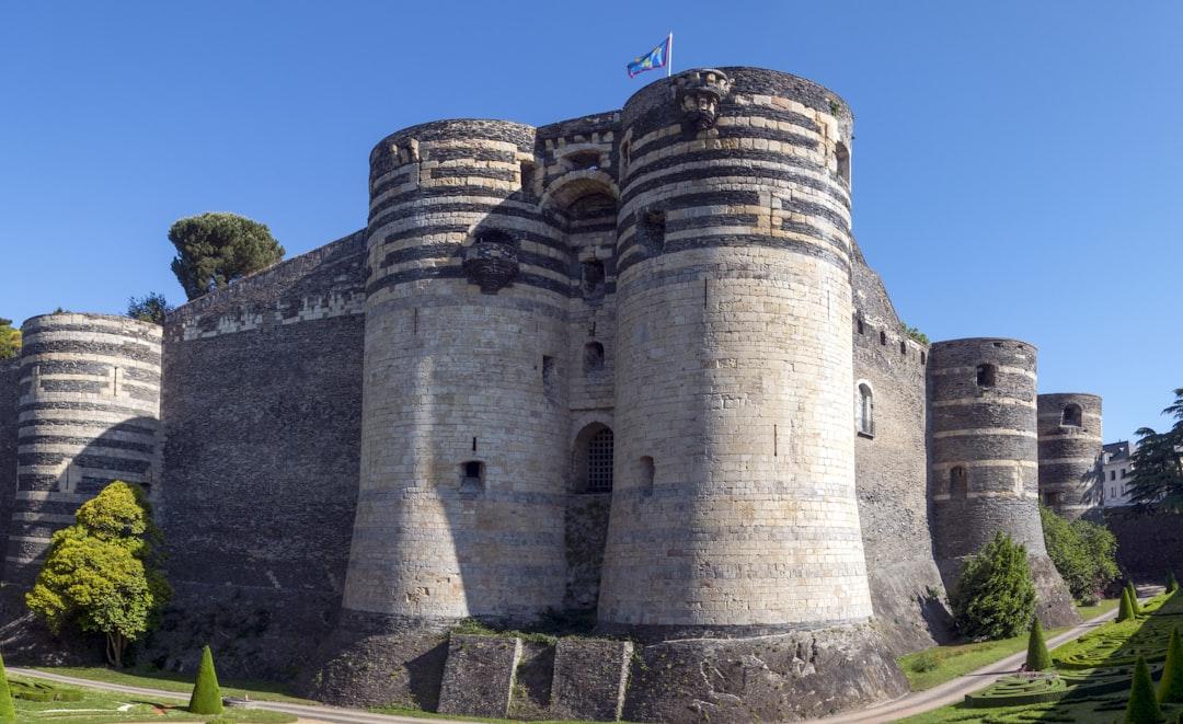 Moyen-âge en France, une époque d'environ mille ans entre 470 et 1500. De nombreuses structures et bâtiments sont encore visibles de nos jours. Cette époque se situe entre l'Antiquité et la Renaissance.