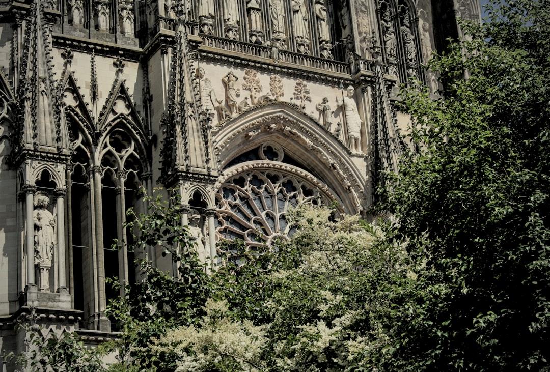 Picture outside of Reims Cathedral with trees in the foreground